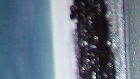 10312-Comediantes09-RicardoHill