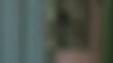 Victoria Ruffo dio su opinión sobre los rumores que circularon sobre su supuesta muerte.