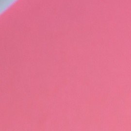 La madre del artista lo describió como una persona muy tranquila que se está adaptando a un experimento social totalmente nuevo para él.