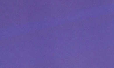 Jorgina Guillermo Díaz, nombre real de la cantante, fue detenida la mañana del 24 de marzo en Santo Domingo, durante un operativo de la Policía Preventiva y del Departamento de Investigaciones Criminales.