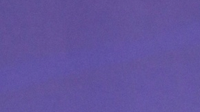 Jorgina Guillermo Díaz, nombre real de la cantante, fue detenida la mañana del 24 de marzo en Santo Domingo, durante un operativo de la Policía Preventiva y del Departamento de Investigaciones Criminales.