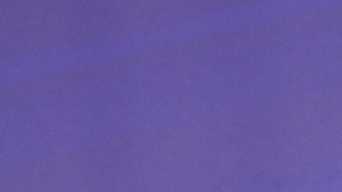 Jorgina Guillermo Díaz, nombre real de la cantante, fue detenida la mañana del 24 de marzo en Santo Domingo, durante un operativo de la Policía Preventiva y del Departamento de Investigaciones Criminales.