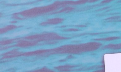 La denunciante, una mujer de avanzada edad, sostiene además que Ochmann ha llegado incluso a obstruir el acceso a su hogar, situación que habría generado múltiples inconvenientes en los últimos meses.