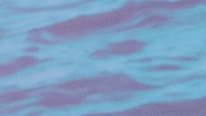 La denunciante, una mujer de avanzada edad, sostiene además que Ochmann ha llegado incluso a obstruir el acceso a su hogar, situación que habría generado múltiples inconvenientes en los últimos meses.