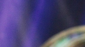 Alfredo Adame solicitó que no dejen entrar al esposo de Karely Ruiz al “Ring Royale 2026” o de lo contrario podría agarrárselo a golpes.