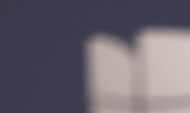 La defensa de la artista no ha emitido declaraciones públicas hasta el cierre de este informe. El incidente ocurre en un momento de alta exposición mediática para la cantante, cuyas acciones legales han sido objeto de escrutinio en los últimos meses.