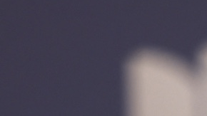 La defensa de la artista no ha emitido declaraciones públicas hasta el cierre de este informe. El incidente ocurre en un momento de alta exposición mediática para la cantante, cuyas acciones legales han sido objeto de escrutinio en los últimos meses.