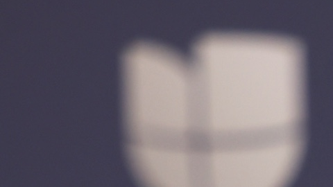 La defensa de la artista no ha emitido declaraciones públicas hasta el cierre de este informe. El incidente ocurre en un momento de alta exposición mediática para la cantante, cuyas acciones legales han sido objeto de escrutinio en los últimos meses.