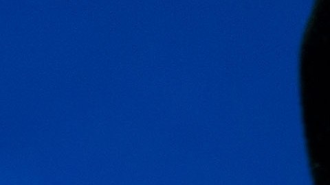 Los familiares de Val Kilmer apoyaron el uso de inteligencia artificial para completar su interpretación, cumpliendo así con una voluntad que el propio actor había manifestado previamente.