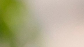 La prensa internacional coincide en calificar el vínculo como la relación del momento tras acaparar las portadas y ser tendencia en redes sociales