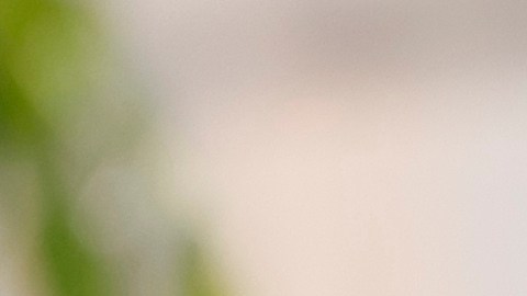 La prensa internacional coincide en calificar el vínculo como la relación del momento tras acaparar las portadas y ser tendencia en redes sociales