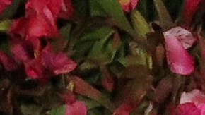 La madurez adquirida tras años de carrera y diversas relaciones mediáticas motiva la actual reserva de la actriz.