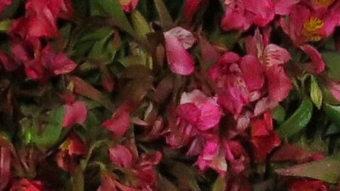 La madurez adquirida tras años de carrera y diversas relaciones mediáticas motiva la actual reserva de la actriz.