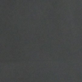 Gustavo Dudamel  explicó que cada vez que se interpreta una obra, como la ‘Quinta Sinfonía’ de Beethoven, esta experimenta un renacimiento, alejándose de la idea de un arte estático o en decadencia.