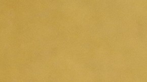 Las recientes polémicas que rodean a Chalamet han sembrado dudas entre los expertos, quienes cuestionan si estas distracciones podrían costarle la estatuilla el próximo 15 de marzo.