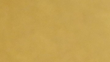 Las recientes polémicas que rodean a Chalamet han sembrado dudas entre los expertos, quienes cuestionan si estas distracciones podrían costarle la estatuilla el próximo 15 de marzo.