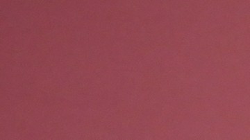 Michael B. Jordan posa con los premios a la mejor interpretación masculina en un papel protagónico y a la mejor interpretación de un elenco en una película por “Sinners” durante la 32.ª edición de los Premios Anuales al Actor, el domingo 1 de marzo de 2026, en el Shrine Auditorium and Expo Hall de Los Ángeles. (Foto de Jordan Strauss/Invision/AP).