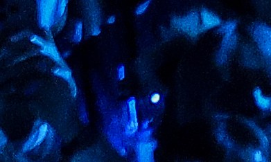 El incidente ocurrió durante la sesión de grabación del miércoles y resultó en una disculpa formal enviada a los miembros de la agrupación.