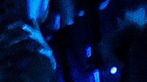 El incidente ocurrió durante la sesión de grabación del miércoles y resultó en una disculpa formal enviada a los miembros de la agrupación.