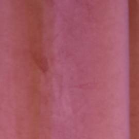 Celinee Santos está nominada en LCDLF 6.