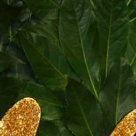 David y Victoria Beckham felicitan a su hija Brooklyn pese a la polémica familiar.