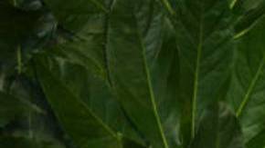 David y Victoria Beckham felicitan a su hija Brooklyn pese a la polémica familiar.