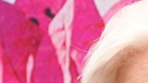 Laura Zapata le pide a Curvy Zelma no recibir las condolencias del cuarto Tierra de 'LCDLF'.