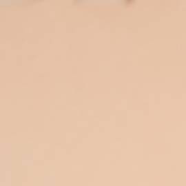 Leonardo DiCaprio lució como nunca antes con Vittoria Ceretti: la relación va viento en popa.