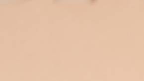 Leonardo DiCaprio lució como nunca antes con Vittoria Ceretti: la relación va viento en popa.