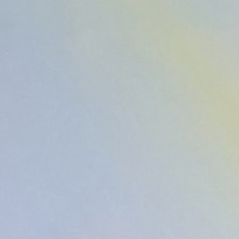 Sergio Mayer es el tercer eliminado de la competencia, tras las salidas de Zoé Bayona y Lupita Jones.