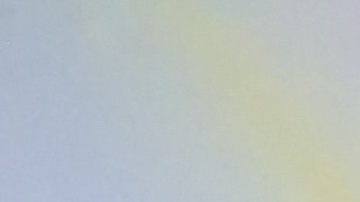 Sergio Mayer es el tercer eliminado de la competencia, tras las salidas de Zoé Bayona y Lupita Jones.