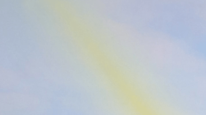 Sergio Mayer es el tercer eliminado de la competencia, tras las salidas de Zoé Bayona y Lupita Jones.