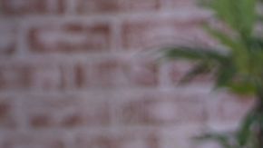 Victoria Kjaer asume nuevo rol en la franquicia del certamen de Dinamarca.