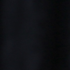 A lo largo de más de tres décadas de carrera, Cristian Castro ha protagonizado otros numerosos romances, solo tres relaciones han llegado al plano legal: sus matrimonios con Gabriela Bó, Valeria Liberman y Carol Victoria Urban.