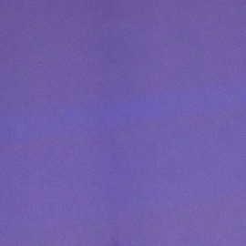 Lejos de las producciones elaboradas que suelen acompañar este tipo de anuncios entre celebridades, la pareja optó por un gesto sencillo: al cortar una torta, el color azul en su interior confirmó la llegada de un nuevo integrante masculino a la familia.