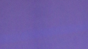 Lejos de las producciones elaboradas que suelen acompañar este tipo de anuncios entre celebridades, la pareja optó por un gesto sencillo: al cortar una torta, el color azul en su interior confirmó la llegada de un nuevo integrante masculino a la familia.