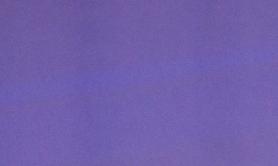 Lejos de las producciones elaboradas que suelen acompañar este tipo de anuncios entre celebridades, la pareja optó por un gesto sencillo: al cortar una torta, el color azul en su interior confirmó la llegada de un nuevo integrante masculino a la familia.