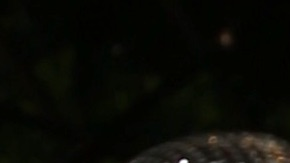 Chyno y Nacho regresan a sus raíces con el lanzamiento de su nuevo disco "Radio Venezuela", un disco que supone el primer álbum del dúo venezolano después de seis años de recuperación de Chyno, a raíz de las secuelas (neuropatía periférica) sufridas a raíz del Covid/Miami, 8 de abril 2026.