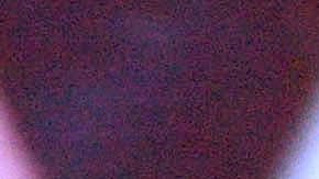 El conocido “Big Boss” no ocultó su satisfacción, enfatizando que este galardón valida décadas de esfuerzo ante los ojos de los expertos de la industria.