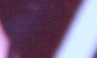 El conocido “Big Boss” no ocultó su satisfacción, enfatizando que este galardón valida décadas de esfuerzo ante los ojos de los expertos de la industria.