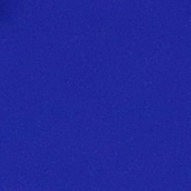 Históricamente, Shakira ha mantenido una política de seguridad inflexible, llegando a suspender presentaciones en diversas ciudades de Sudamérica al no tener la certeza de que se cumplieran las garantías necesarias para su equipo y el público.