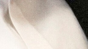 Rubby Pérez falleció trágicamente hace exactamente un año, el 8 de abril de 2025, a los 69 años de edad. El icónico merenguero dominicano perdió la vida debido al colapso del techo de la discoteca Jet Set en Santo Domingo, mientras ofrecía un concierto.