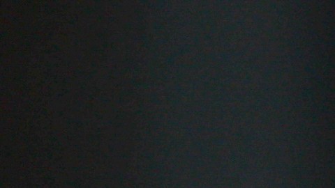 Janice Combs y el resto de la familia han mostrado un apoyo inquebrantable en este proceso calificado como uno de los más mediáticos de la historia.