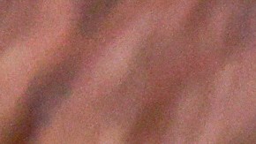 El músico D4vd comparece el lunes 20 de abril de 2026 en Los Ángeles acusado de matar a una niña de 14 años cuyo cuerpo desmembrado fue encontrado en su automóvil. (Ted Soqui/Foto de piscina vía AP).