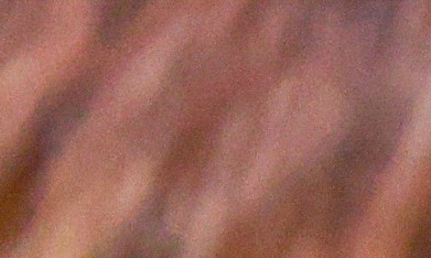 El músico D4vd comparece el lunes 20 de abril de 2026 en Los Ángeles acusado de matar a una niña de 14 años cuyo cuerpo desmembrado fue encontrado en su automóvil. (Ted Soqui/Foto de piscina vía AP).