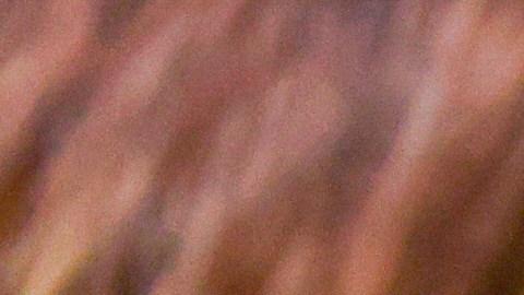 El músico D4vd comparece el lunes 20 de abril de 2026 en Los Ángeles acusado de matar a una niña de 14 años cuyo cuerpo desmembrado fue encontrado en su automóvil. (Ted Soqui/Foto de piscina vía AP).