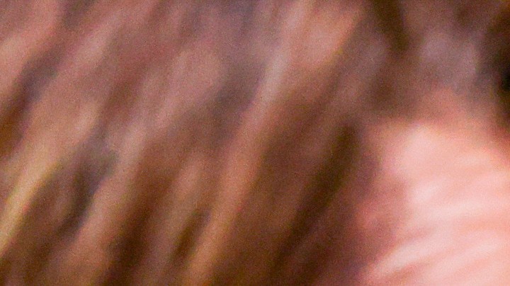 El músico D4vd comparece el lunes 20 de abril de 2026 en Los Ángeles acusado de matar a una niña de 14 años cuyo cuerpo desmembrado fue encontrado en su automóvil. (Ted Soqui/Foto de piscina vía AP).