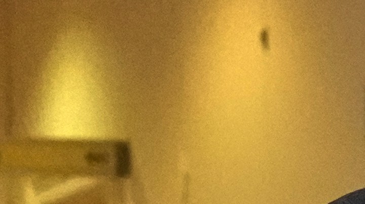 El acusado Beran A. oculta su rostro tras carpetas mientras es escoltado fuera de la sala del Tribunal de Distrito de Wiener Neustadt, Austria, donde está siendo juzgado por planear un atentado contra uno de los conciertos de la superestrella Taylor Swift en Viena en agosto de 2024 y por jurar lealtad al grupo Estado Islámico, el martes 28 de abril de 2026. (Foto AP/Matthias Schrader).