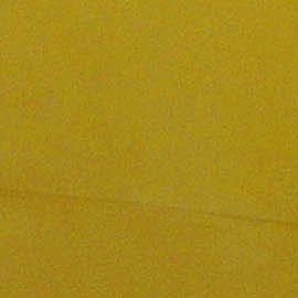 El evento contará con una difusión global a través de las plataformas de ABC y Disney+, llevando el legado de la salsa a la cima del Olimpo musical anglosajón.