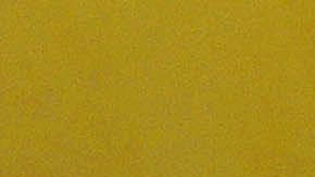 El evento contará con una difusión global a través de las plataformas de ABC y Disney+, llevando el legado de la salsa a la cima del Olimpo musical anglosajón.